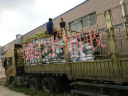 �߃r�����X�ݽz�X������