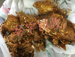 �~������ 僽�ܛ���~������