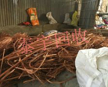 �߃r(ji��)�U�~����