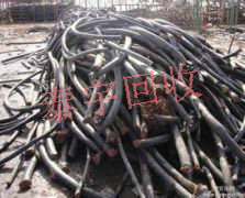 ���� ���S�U�f��|����