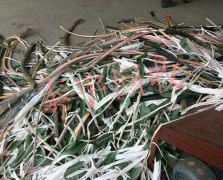 ���~���� 늾����� ��Ƥ��|�~����