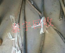 ��| 늾�����