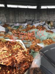 �~������ 僽�ܛ�����